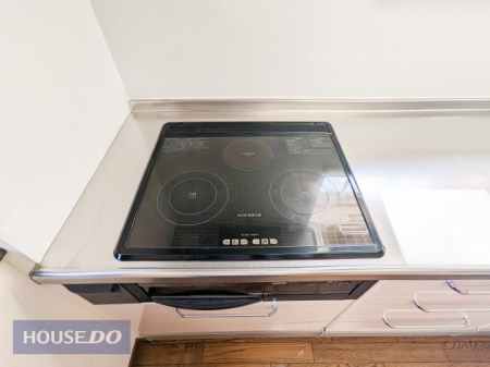 ���̑� ���̑�