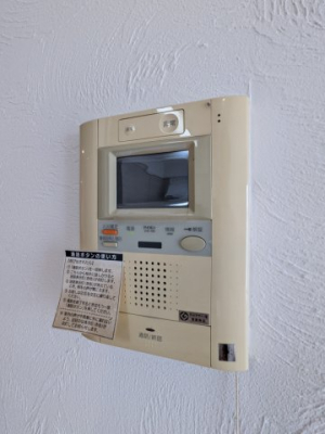 ���̑� ���̑�