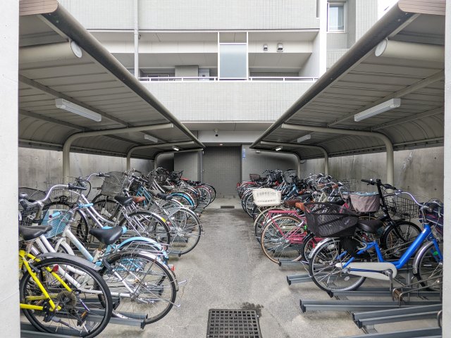 ���̑����� -