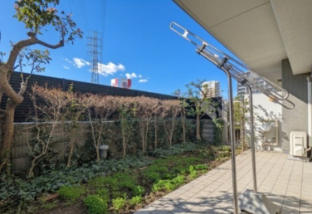 ���̑� ��