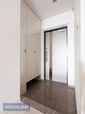 ���� �Ƒ��S���̌C���X�b�L�����܂�A�V��܂ł̑�e�ʃV���[�Y�{�b�N�X�����B