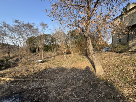 ���̑� �L���~�n�ŉƒ�؉���K�[�f�j���O�A�h�b�O�����ȂǁA�l�X�ȗp�r�Ɏg���܂��I