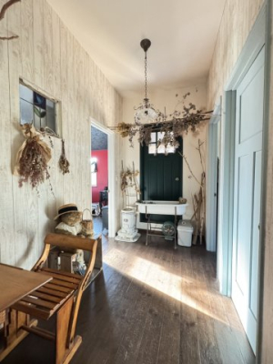 ���̑����� ���n�ʐ^