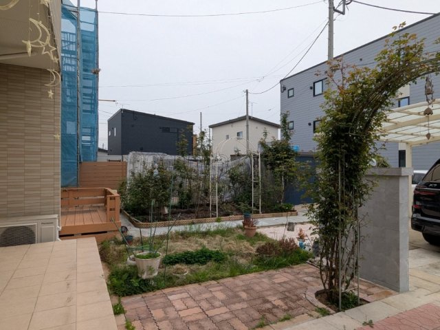 ���̑� ��