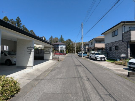 ���̑� �O�ʓ��H���L���A����Ⴂ�����₷�������@����Ԃ����₷��GOOD�I