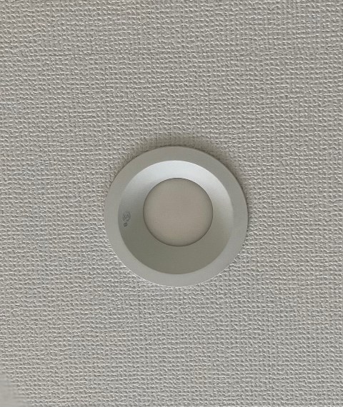 ���̑� �_�E�����C�g�i�ʐ^�͓��d�l�ʐ^�j