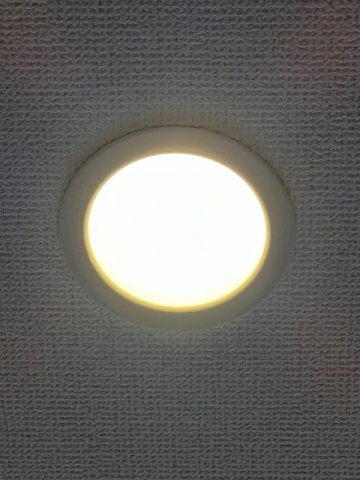 ���̑� �_�E�����C�g�@�V��Ɩ��i�ʐ^�͓��d�l�ʐ^�j