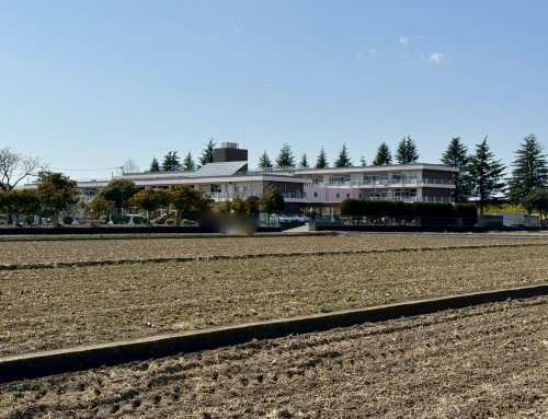 ���ӊ� �y���w�Z�z���R�s���������w�Z�܂�1787��