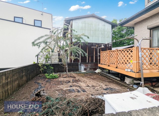 ���̑� ���̑�