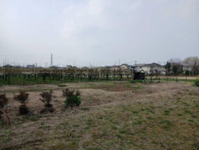 ���} 747�u�̍L���~�n�ł��B�傫�ȕ~�n�𗘗p���Ă��D���Ȃ��Ƃ����Ă��܂��B�܂���������̂��ǂ��ȗ��n�ł��B