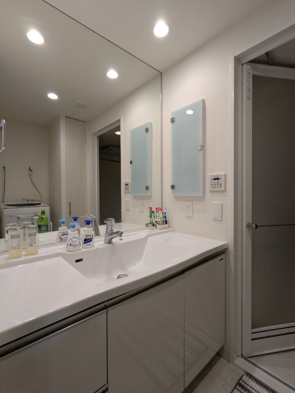 ���ʑ�E���ʏ� �傫�Ȑ��ʃ{�E���ƃn���h�V�����[�ŁA�����C�ɓ���Ȃ��Ă����ʑ�Ŏ�y�ɐ�����