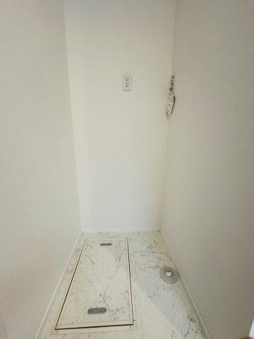 ���̑����� -