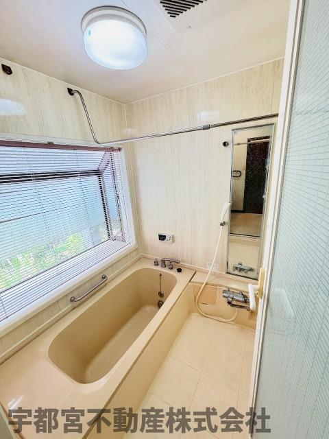 ���� �y����/���n�ʐ^�z���邢�������̓��闁���͑傫�ȑ��ɁA�V��������J����������������Ɗ����܂�