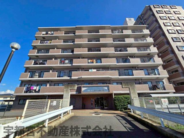 ���n�O�ώʐ^ ��������A�ʕ��ǍD�ł������󕨂��[���܂ł������芣�������Ƃ��ł��܂��B