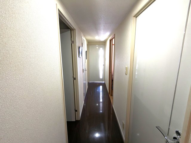 ���̑����� �L��