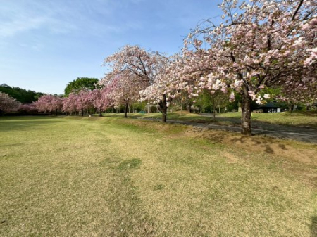 ���ӊ� �y�����z�V���̋u�����@�܂�4156��